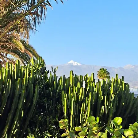 Apartment Casa Barbara *